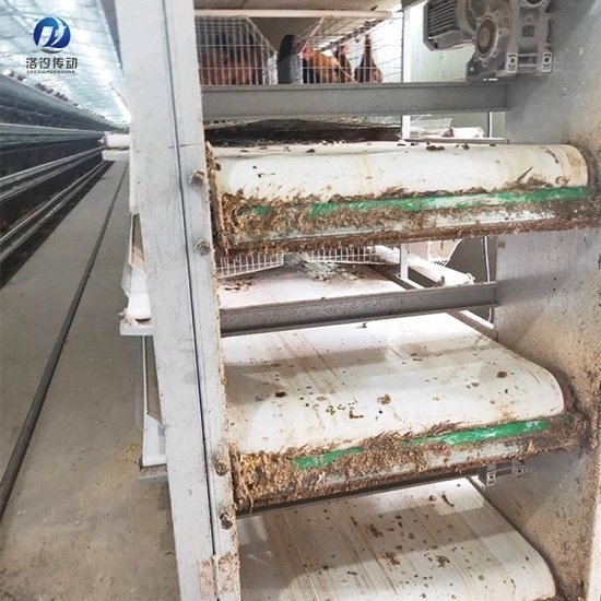 1.2mmPP清糞帶雞糞輸送中 1.2mmPP清糞帶雞糞輸送中