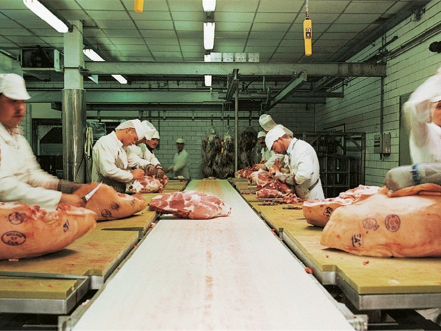 食品行業(yè)輸送帶輸送肉類 食品行業(yè)輸送帶輸送肉類